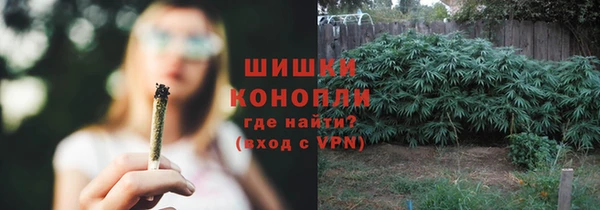 крисы Бронницы