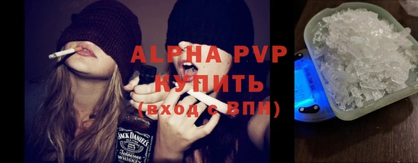 экстази Бородино