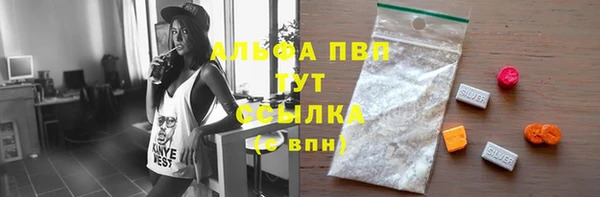 экстази Бородино