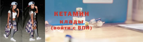 крисы Бронницы