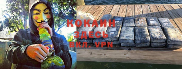 крисы Бронницы