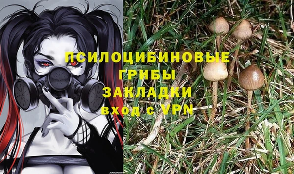 крисы Бронницы