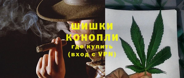 экстази Бородино